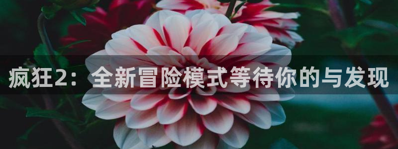 高德娱乐科技：疯狂2：全新冒险模式等待你的与发现