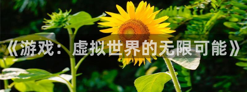 高德娱乐咨询：《游戏：虚拟世界的无限可能》