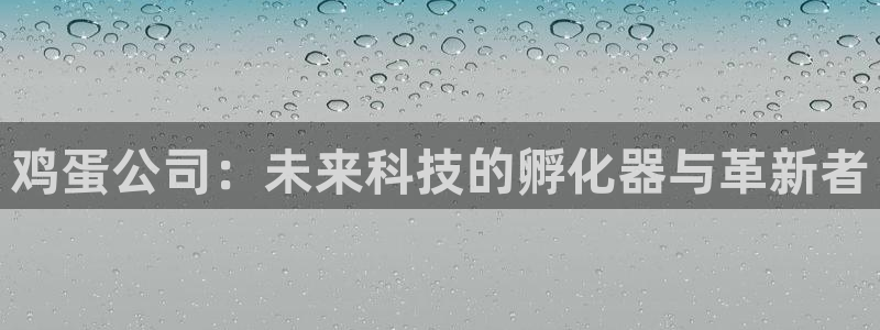 手机高德娱乐下载安装：鸡蛋公司：未来科技的孵化器与革新者