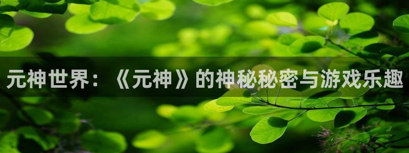 高德娱乐平台：元神世界：《元神》的神秘秘密与游戏乐趣