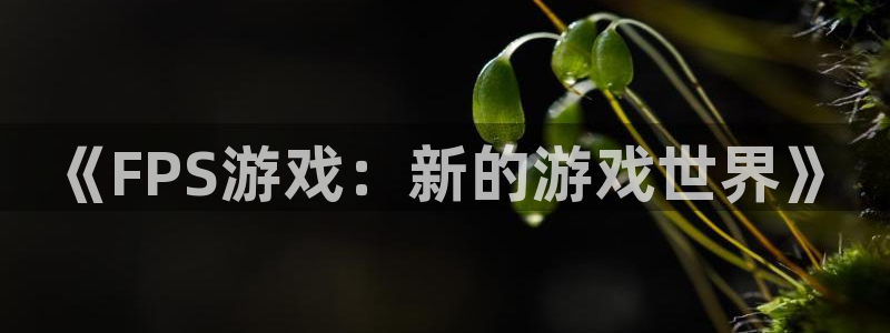 高德娱乐平台：《FPS游戏：新的游戏世界》