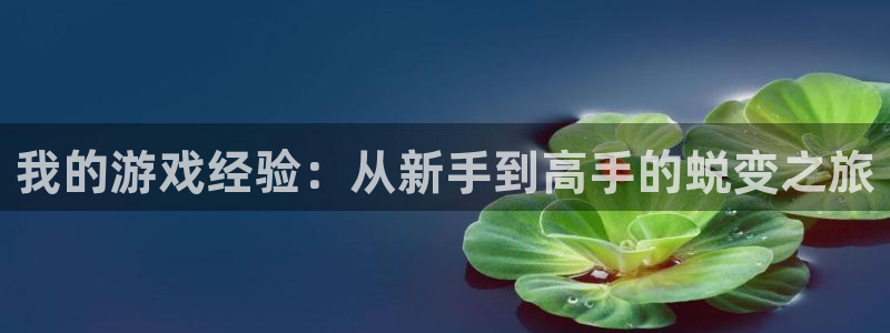 高德娱乐注册平台:我的游戏经验:从新手到高手的蜕变之旅