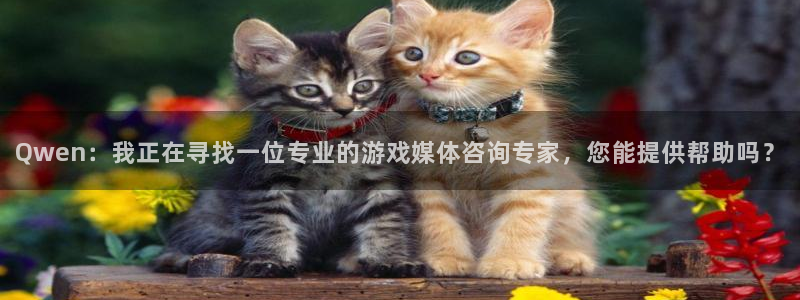高德娱乐官网:Qwen:我正在寻找一位专业的游戏媒体咨询专家