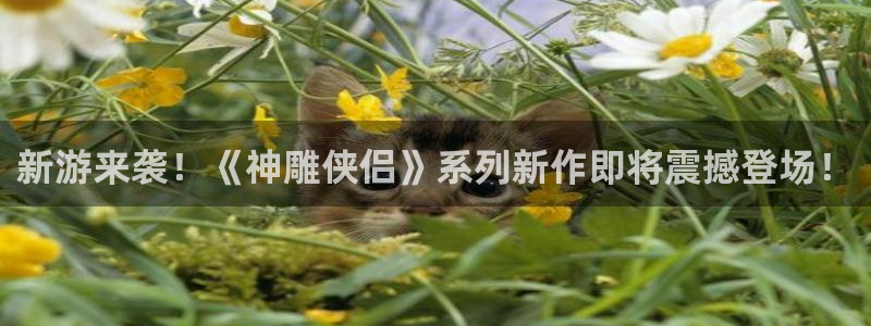 高德娱乐登陆测速:新游来袭!《神雕侠侣》系列新作即将震撼登场