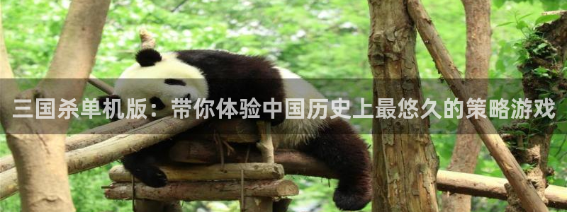 高德娱乐app下载地址：三国杀单机版：带你体验中国历史上最悠