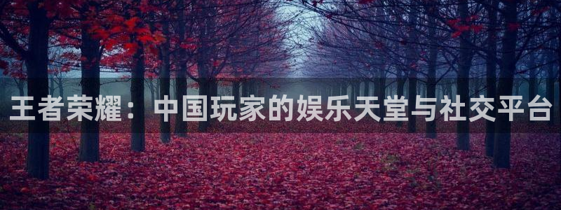 高德娱乐平台登录入口：王者荣耀：中国玩家的娱乐天堂与社交平台