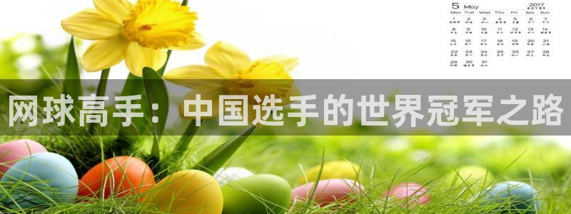 高德娱乐线路测试：网球高手：中国选手的世界冠军之路